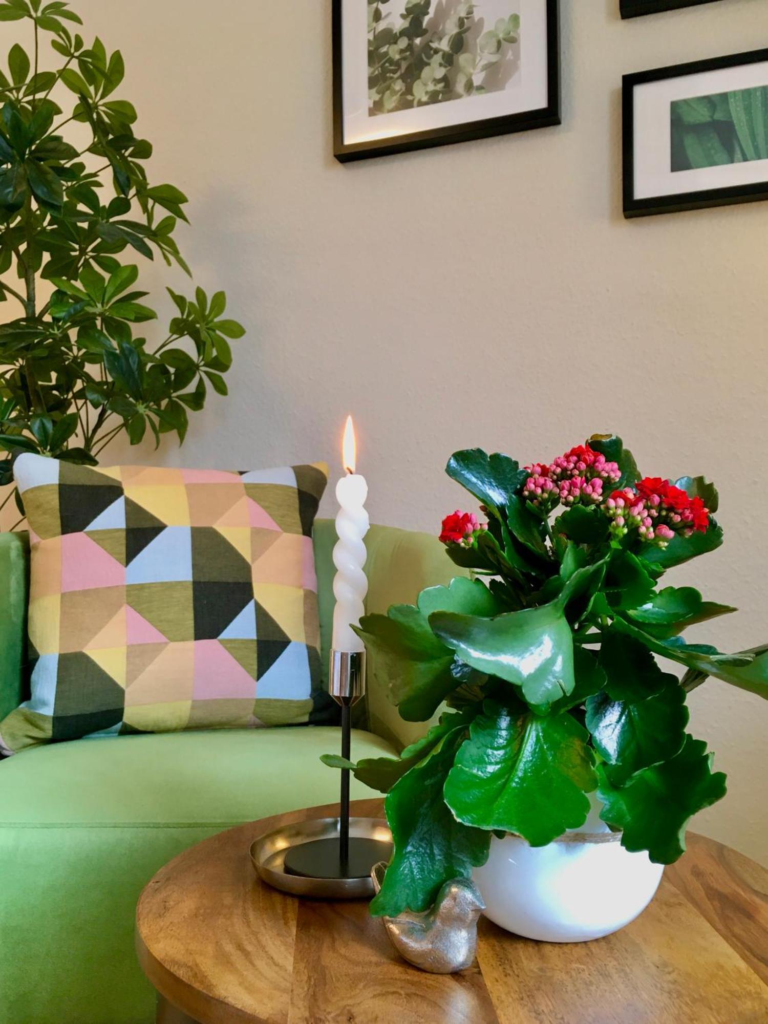 Schoene Ferienwohnung Am Mathildenbrunnen 奎德林堡 客房 照片